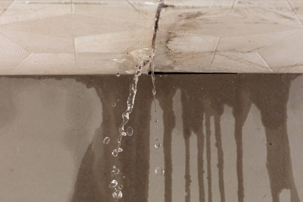 Professional Structural Drying technician working in East Rockaway, NY